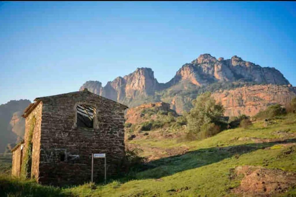 Villa Alisa Avec Piscine Privee Roquebrune-sur Argens Exterior foto